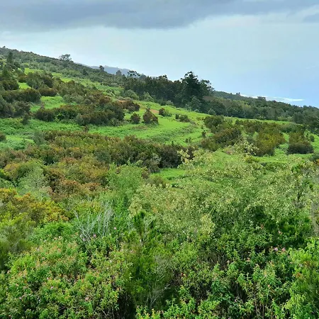 Canarian House Casa Esther In Icod De Vinos Dom wakacyjny *