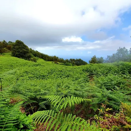 Dom wakacyjny Canarian House Casa Esther In Icod De Vinos